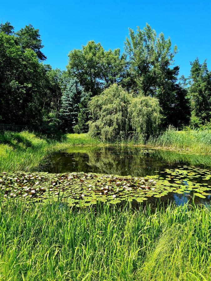 Wrzosowe Siedlisko Villa Czosnów Eksteriør billede